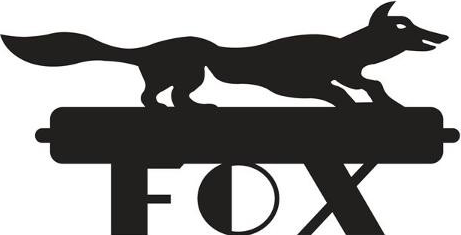 Fox Auto Group Painted Post, NY